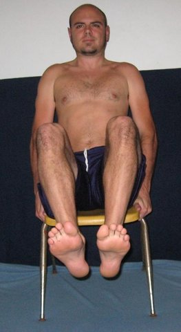 Seated Knee Raises (abs)